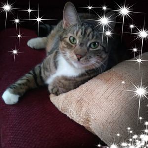 Meet your Posher, Cindy